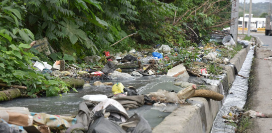 Los moradores temen que la combinación de basura y agua estancada podría provocar enfermedades.