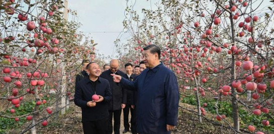 Xi Jinping conversa con un aldeano en un huerto de frutas en la aldea de Nangou de Yan'an, en la provincia noroccidental china de Shaanxi, el 26 de octubre de 2022. (Xinhua/Yan Yan)