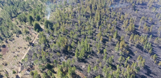 Los incendios forestales aumentan en períodos de sequía.  Ministerio de Medio Ambiente