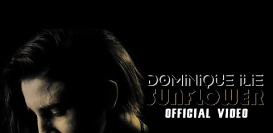 The Official music video for "Sunflower" by Dominique Ilie - Out Now!
Stream "Sunflower" on all platforms: https://orcd.co/di-sunflower

Follow  Dominique Ilie here
Instagram: https://www.instagram.com/dominiqueilie/
Facebook: https://www.facebook.com/iliedominique

Music & Lyrics: Dominique Ilie, Jeanne Walker
Actress:  Kherrington Briggs
Director: Matthew Johnson
Mix / Master : Robert Honablue


Lyrics: 

Chorus:
Someday when the flowers bloom 
I'll see you too
When I meet you face to face
Gonna lose
I think about you when the sky isn't blue
The sun says goodbye to the moon

Verse 1:
I've been pushing you out
I know some things can’t change
But I know some things about
Taking it south
I know you can't see it
So think before pushing me out
Pushing me out
I know you crying all sad
But from the way you treated me
Why am I not the one mad
You say were not bad
I know you can't see it 
So think before pushing me out
Pushing me out

Pre chorus:
But I, I’m never walk away 
But please don't let Me go
Please don't let Me go
But I, I’m never do the same
But please don't let Me go
Please don't let Me go

Chorus:
Someday when the flowers bloom 
I'll see you too
When I meet you face to face
Gonna lose
But I think about you when the sky isn't blue
The sun says goodbye to the moon
And Some day When I see you there
Standing alone
But I look around 
There's where else to go
Dreaming about you with no one to hold
So than I wake up alone 

Verse 2

So why you pushing me down 
I'll let you make the change
But just know I'm the one who walked out
And look at we are now
I know you can't see it
But loving you feels like I'm about
About to fall in to insanity
Never wanted
To make myself so weak
Feel discarded.
There's nothin of me holding on anymore

Pre chorus:
But I, I’m never walk away
But please don't let Me go 
Please don't let Me go
But I, I’m never do the same
But please don't let Me go
Please don't let Me go

Chorus:
Someday when the flowers bloom 
I'll see you too
When I meet you face to face
I'm gonna lose
I think about you when the sky isn't blue
The sun says goodbye to the moon
And Some day When I see you there
Standing alone
But when I look around 
There's where nowhere else to go
I’m dreaming about you with no one to hold
So then I wake up alone
I wake up alone

I wake up alone
I wake up alone
I wake up alone
I wake up alone


Follow my socials:
Instagram: @dominiqueilie
Facebook: @dominique I.
Tik Tok: @dominiqueilie


#Dominiqueilie​ #Sunflower

℗ ©️ 2023 A440Records

All rights reserved. Unauthorized reproduction is a violation of applicable laws. In order to avoid copyright infringement, please do not upload this video on your channel