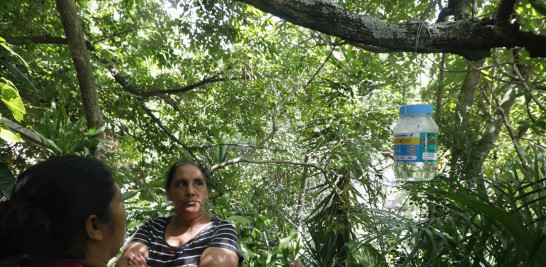 Rubenia Montoya mira un frasco que contiene huevos de mosquito que cuelga de su árbol mientras una voluntaria de Médicos Sin Fronteras explica cómo estos mosquitos ayudan a combatir el dengue, en Tegucigalpa, Honduras, el miércoles 23 de agosto de 2023.