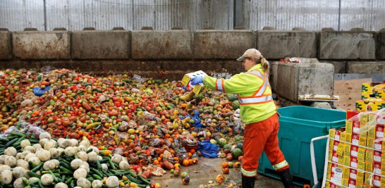 En los campos dominicanos, frutas y vegetales que no se consideran atractivos para el mercado (como si se tratara de un concurso de belleza), frecuentemente se convierten en pérdidas, o son descartados o desperdiciados en los supermercados.