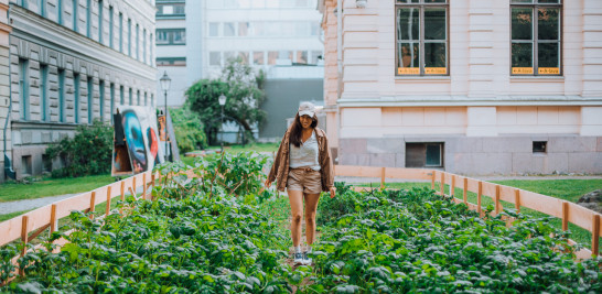 Uno de los jardines urbanos comunitario con huerto comestible, en Annantalo. Finlandia. Foto de Visit Finland.