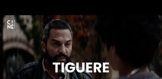 Un grupo de adolescentes varones son reclutados por sus padres en un campo de entrenamiento para convertirlos en estafadores, jugadores y “tigueres”. Este arquetipo es la máxima idealización del personaje masculino en la cultura dominicana y caribeña. Alberto es el entrenador en jefe de este campamento quien decide que ha llegado el momento de que Pablo se una al grupo. Pero Pablo, su hijo, es un Tiguere por derecho propio, sin que Alberto lo sepa, cuyo proceso de mayoría de edad choca con las opiniones autoritarias de su padre. Esto lleva a Pablo a un viaje de autodescubrimiento.

Ficha de la película
IDIOMA(S): Español
SUBTÍTULOS: Inglés
PAÍS(ES): República Dominicana
SECCIÓN: Hecho en Erredé
DIRECTOR(ES): José María Cabral
PRODUCTOR(ES): José María Cabral, José María Cabral A., Carlos German
GUIONISTA(S): Arturo Arango, Nuri Duarte, Xenia Rivery, Alan Gonzales, José Maria Cabral
DIRECTOR DE FOTOGRAFÍA: Hernan Herrera
EDITOR: José María Cabral
MÚSICA:
CONTACTO: Tabula Rasa
REPARTO: Manny Perez, Carlos Fernandez, Camila Santana

Premios y festivales
2024 IFF de El Cairo;

2024 Festival Internacional de Cine de Autor de Rabat – Competición;

2024 São Paulo IFF 2024 (Estreno mundial)

