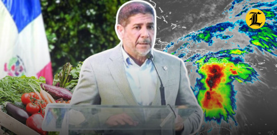 Hasta el momento el Gobierno no tiene una cifra condensada que abarque todos los daños dejados por el fenómeno atmosférico en la República Dominicana.<br /><br />https://listindiario.com/la-republica/gobierno/20251027/melissa-provoco-danos-encima-1-000-millones-sector-agricola-evaluaran-resto-danos_879943.html