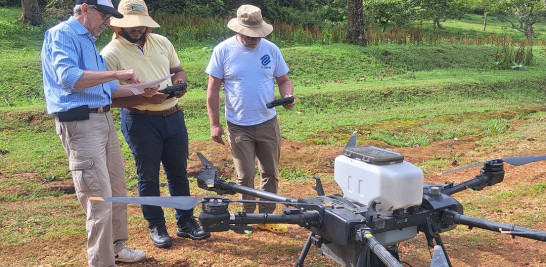 Siembra de semillas en mayo en Los Arroyos, en el Parque Nacional Sierra de Bahoruco.