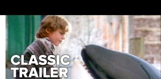 Starring: Michael Madsen, Jason James Richter and Lori Petty
Free Willy (1993) Official Trailer - Michael Madsen Movie

When a boy learns that a beloved killer whale is to be killed by the aquarium owners, the boy risks everything to free the whale.

Subscribe to CLASSIC TRAILERS: http://bit.ly/1u43jDe
Subscribe to TRAILERS: http://bit.ly/sxaw6h
Subscribe to COMING SOON: http://bit.ly/H2vZUn
Like us on FACEBOOK: http://bit.ly/1QyRMsE
Follow us on TWITTER: http://bit.ly/1ghOWmt

Welcome to the Fandango MOVIECLIPS Trailer Vault Channel. Where trailers from the past, from recent to long ago, from a time before YouTube, can be enjoyed by all. We search near and far for original movie trailer from all decades. Feel free to send us your trailer requests and we will do our best to hunt it down.