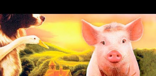 Año: 1995
Director: Chris Noonan
Actores: James Cromwell,  Magda Szubanski,  Paul Goddard,  Zoe Burton,  Marshall Napier
Sinopsis:
En la granja Hogget vive toda clase de animales. Cada uno se ocupa de
un trabajo que trata de hacer lo mejor posible, porque sabe cuál es su sitio. A la granja llega Babe, un cerdito que el granjero ha ganado en un concurso y que intuye que es muy especial. Decide entonces enseñarle el oficio de perro pastor; así es cómo Babe evita ser destinado a la cena de Navidad.