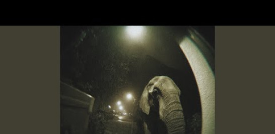 Provided to YouTube by The Orchard Enterprises

Elefante · Alex Ferreira

Elefante

℗ 2025 MEDIAISLA bajo licencia exclusiva de Alex Ferreira

Released on: 2025-10-23

Producer: Alex Ferreira
Producer: Germán Reccitelli

Auto-generated by YouTube.