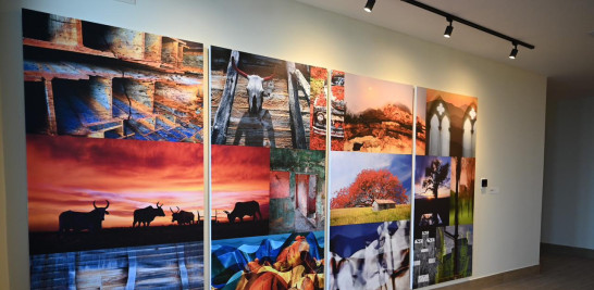 Centro Cultural Banreservas