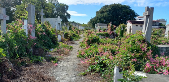 El cementerio viejo de Baní está abandonado y lleno de yerbas y malezas. j