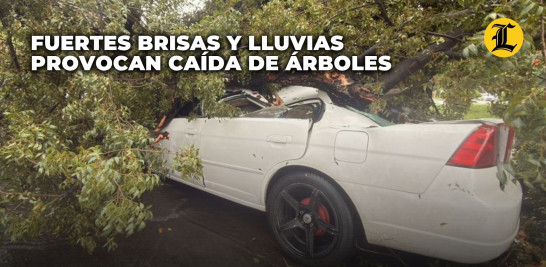 Uno de los incidentes ocurrió en la intersección de las calles Hermanos Deligne y Casimiro de Moya con la avenida Independencia, donde dos árboles se desplomaron y cayeron encima de dos vehículos.<br />