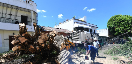 Trabajadores del Ayuntamiento del Distrito Nacional trabajan para despejar vías afectadas por la lluvia y el ventarrón del lunes 13 de abril de 2026.