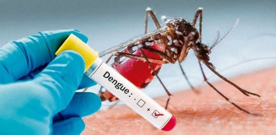 Este año se han confirmado 65 casos de dengue, enfermedad causada por la picadura de un mosquito.