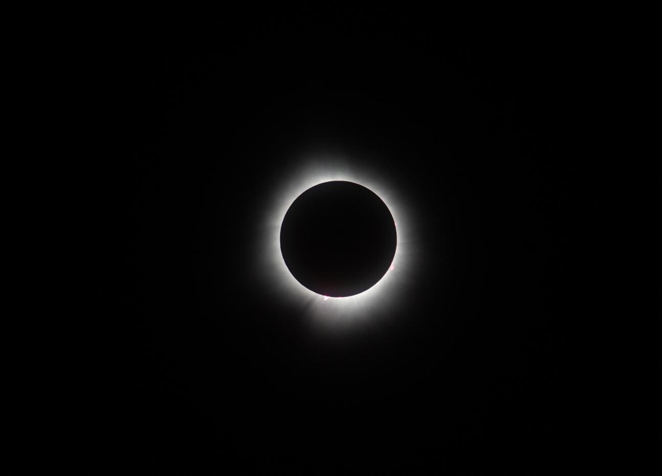 WAPAKONETA, OHIO - APRIL 8: The sun and the moon align completely, with solar prominences visible, during the total solar eclipse on April 8, 2024 in Wapakoneta, Ohio. Totality lasted for alomst four minutes in Ohio. Millions of people have flocked to areas across North America that are in the 