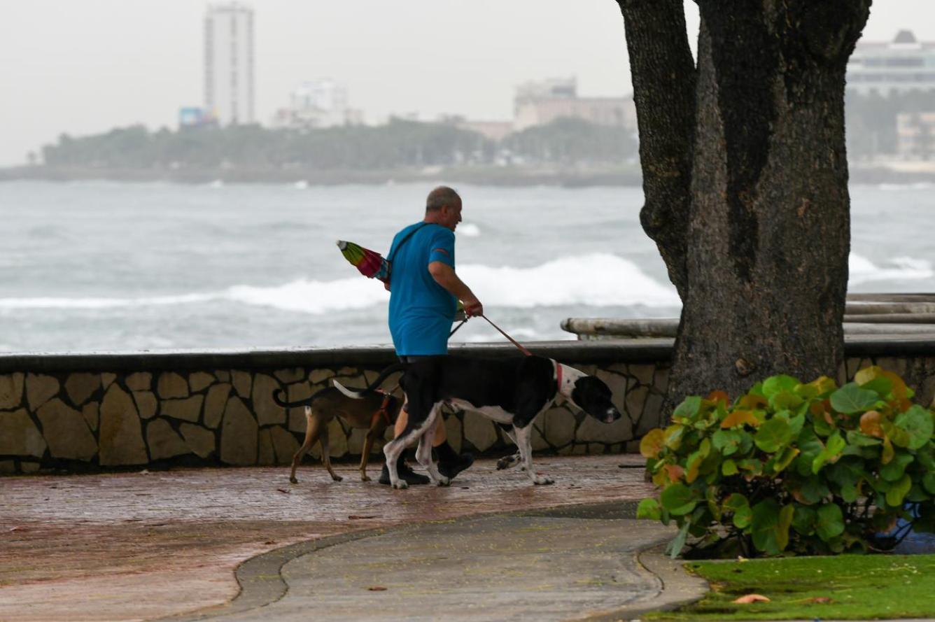 Un hombre pasea a sus dos cachorros por el Malecón de Santo Domingo tras las lluvias por la tormenta Melissa.