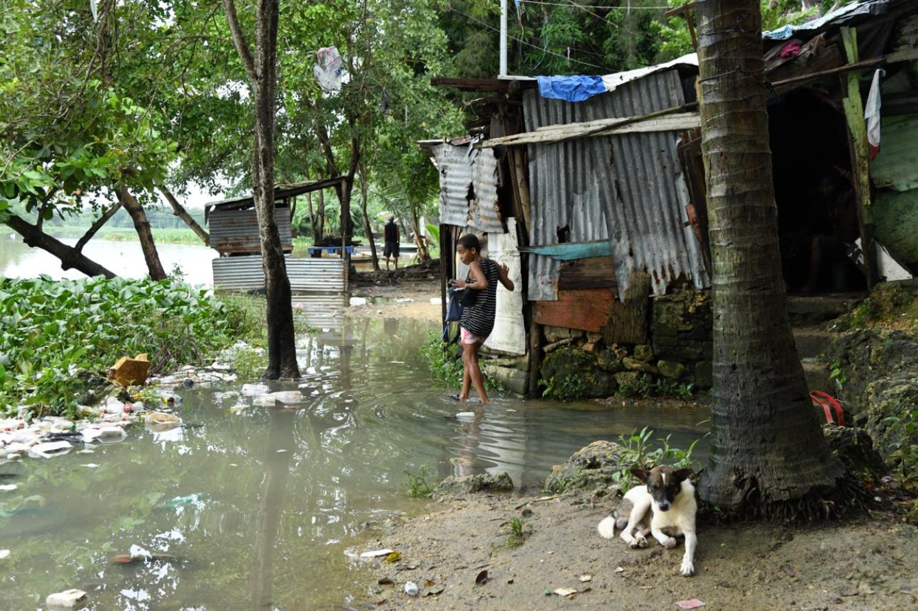 Un perro parece posar al lente de fotógrafo del Listín Diario.