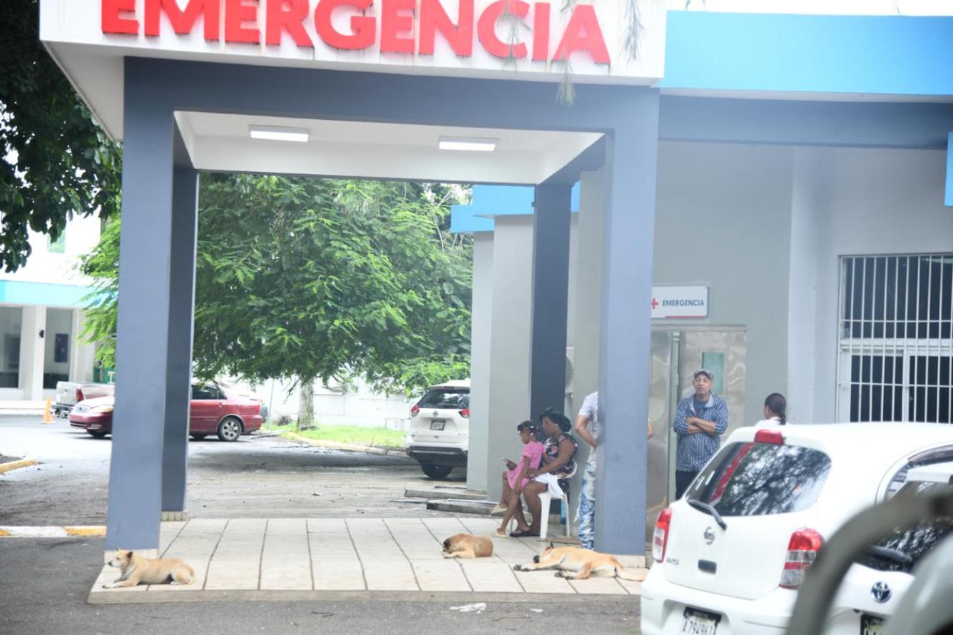 Varios perros aguardan en la emergencia de un hospital tras la tormenta Melissa.