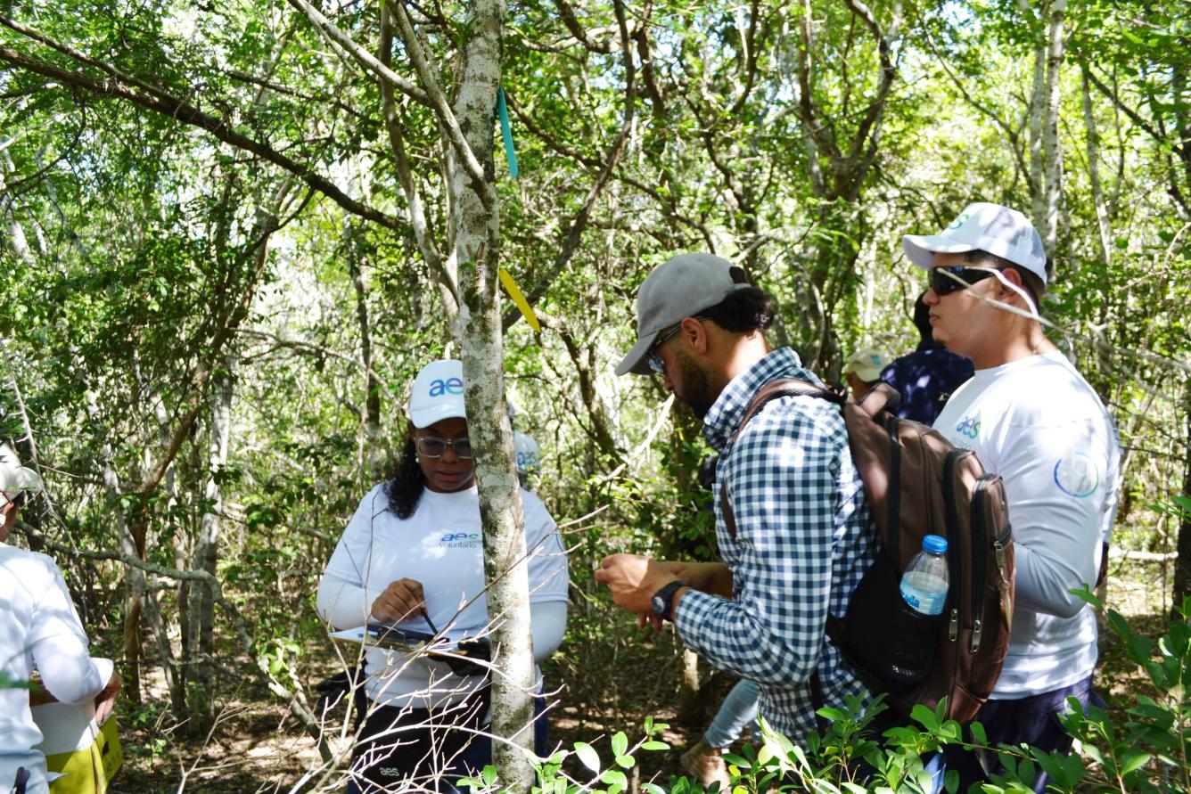 Reintroducción de orquídeas en la reserva científica Villa Elisa.