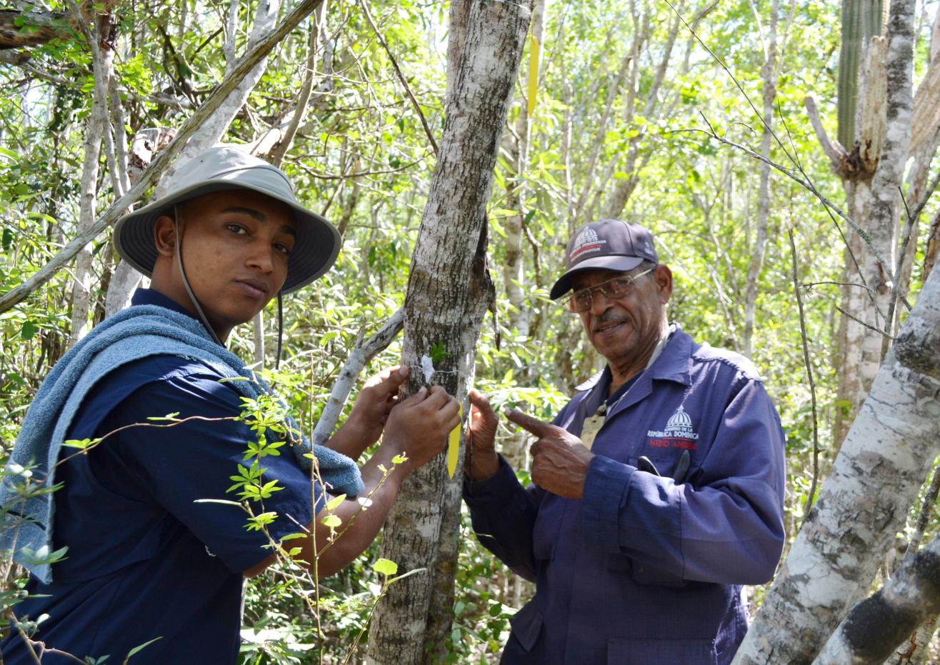 Reintroducción de orquídeas en la reserva científica Villa Elisa.