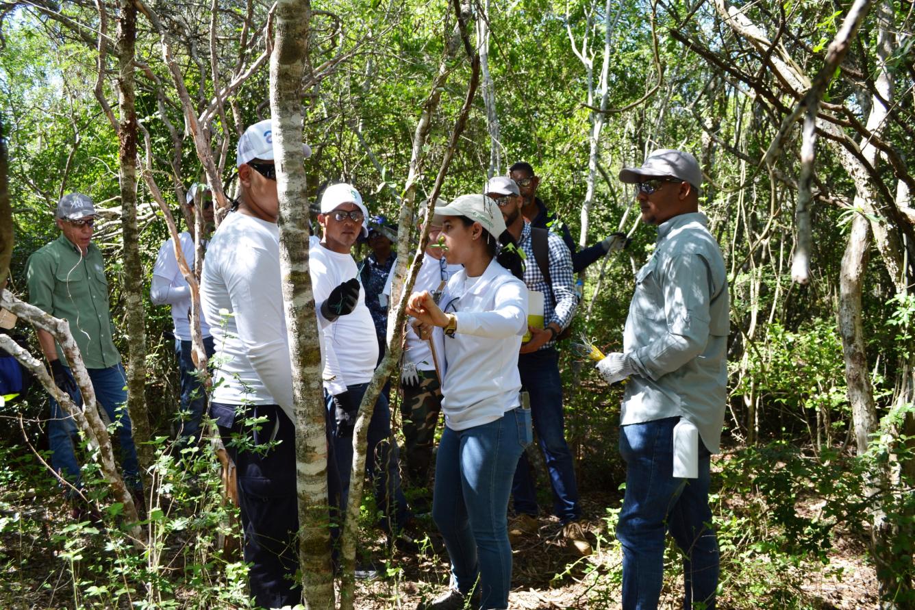 Reintroducción de orquídeas en la reserva científica Villa Elisa.