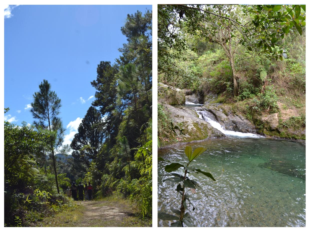 En El Arroyazo, Constanza, inicia el sendero dentro de la reserva que lleva a loma La Sal.