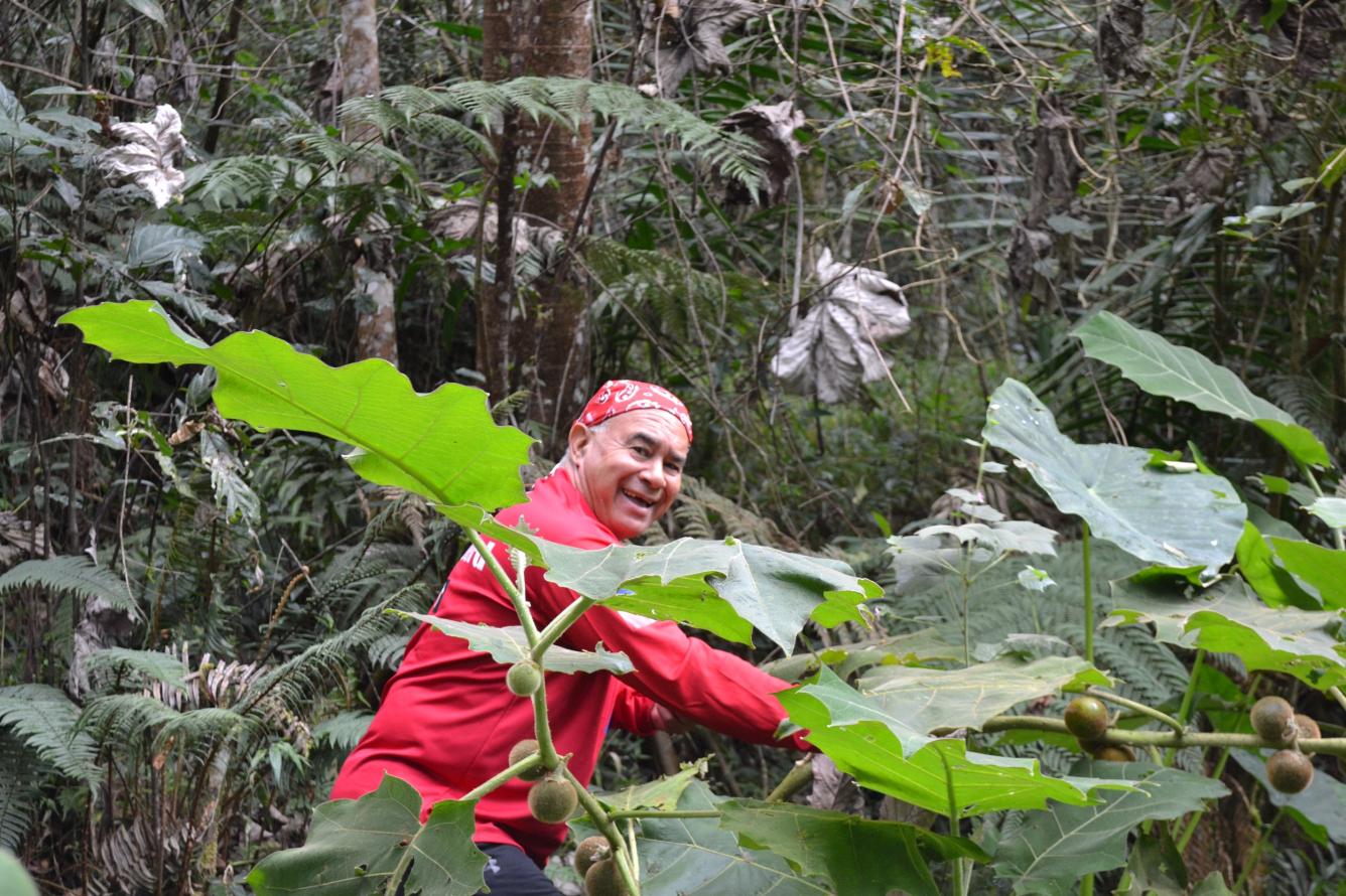 Marotear lulo, toronja, naranja y candongo forma parte de las delicias del recorrido.