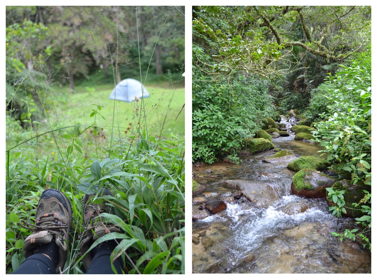 Despedida de año en La Sal.