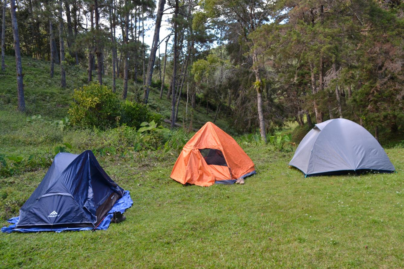 Despedida de año en La Sal.