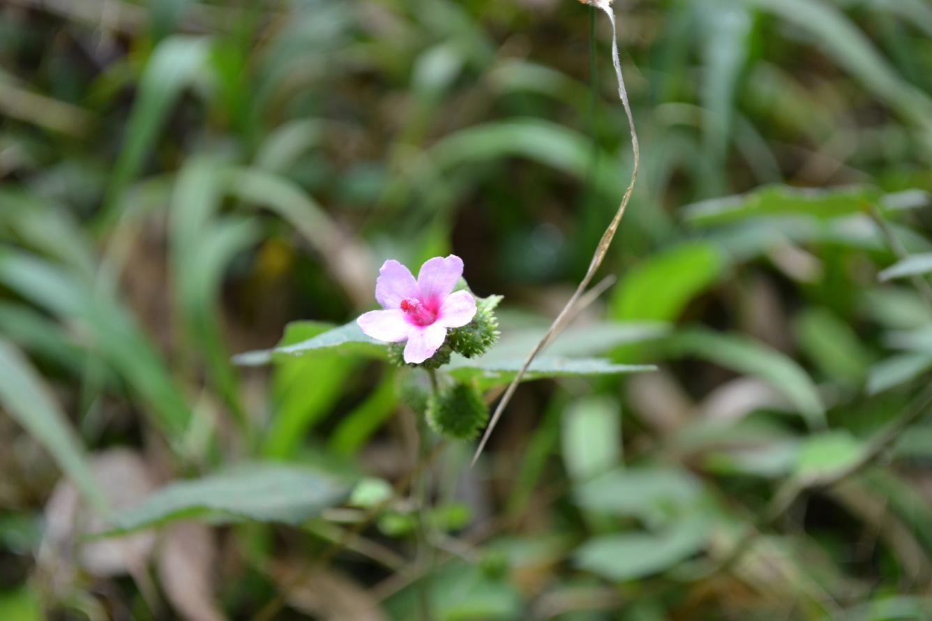 Despedida de año en La Sal.