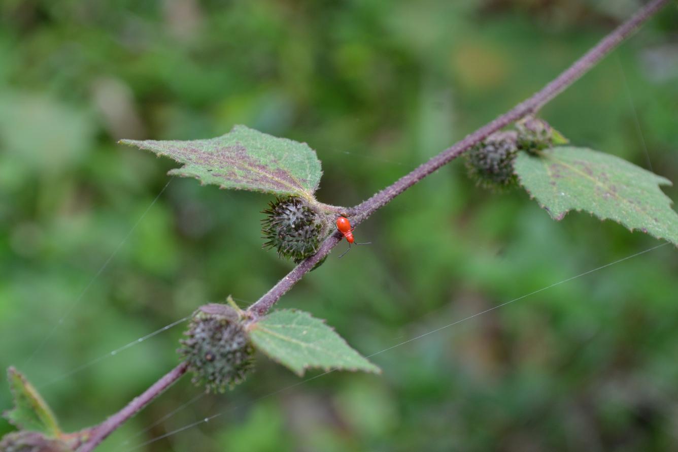 Despedida de año en La Sal.