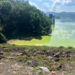 Agua contaminada de la Presa de Hatillo afecta la pesca en Cotuí.