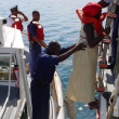 En el año fiscal anterior fueron 3.499 los inmigrantes haitianos interceptados en el mar en el estrecho de Florida, el Caribe y el Océano Atlántico. Fuente externa