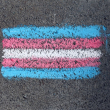 La bandera trans está compuesta por franjas celeste, el color tradicional para los bebés varones, junto a rayas de color rosa, el color tradicional para las niñas. La blanca del medio representa a quienes están en transición o se consideran de género neutro o indefinido.