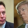 Elon Musk (izquierda) y Donald Trump
NICHOLAS KAMM, Brendan Smialowski / AFP