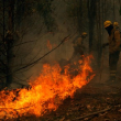 Incendio forestal en Chile. AFP