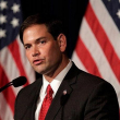 Senador Marco Rubio