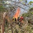 Dos bomberos forestales se enfrentan a las llamas de un incendio forestal en Guaiguí, La Vega.