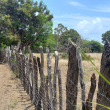Actualmente se evidencian empalizadas de reciente colocación en el sitio conocido como La Laguneta, donde según productores de la zona, ya se han colocado cerca de 5 mil metros de empalizadas