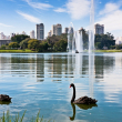 Detrás del imponente horizonte y la movida actividad empresarial de São Paulo, hay una amplia gama de encantos que atraen a visitantes de todo el mundo.