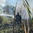 Los bomberos forestales sofocaron el incendio originado dentro de los límites del área protegida del Monumento Natural Lagunas de Cabarete y Goleta, ubicado en Sosúa, Puerto Plata