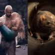 Shakira usó una rata en su nuevo video junto a Manuel Turizo titulado "Copa vacía".