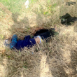 Uno de los cadáveres encontrados por las autoridades