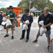 Miembros del Departamento de Parques y Recreación de Tampa, Florida