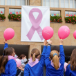 La iniciativa de dedicar un día al cáncer de mama partió de la Organización Mundial de la Salud (OMS)