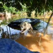 Más de 25 casas ahogadas por subida del río Yuca, en Sabana Perdida
