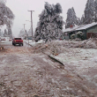 Ramas y árboles caídos se encuentran esparcidos en la carretera el martes 16 de enero de 2024, en Creswell, Oregon. El invierno dirigió su resplandor helado a los EE. UU. esta semana, cubriendo ciudades y estados de este a oeste con nieve y enviando temperaturas al Ártico. espiral.