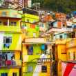 Favela brasileña