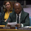 Representante de Kenia ante ONU