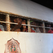Siete camiones de control migratorio salieron la cárcel La Victoria